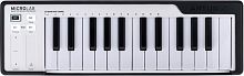 MIDI-клавіатура Arturia MicroLAB-Black - JCS.UA