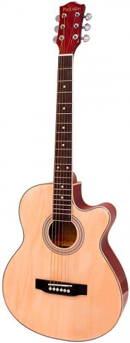 Акустическая гитара PARKSONS RFG111-38CNF - JCS.UA