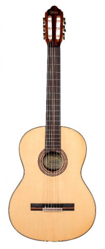 Классическая гитара VALENCIA VC564 - JCS.UA