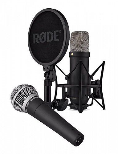 Конденсаторний vs динамічний мікрофон: детальне порівняння