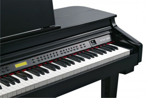 Цифровой рояль Kurzweil KAG-100 EP - JCS.UA фото 5