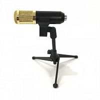 Конденсаторний мікрофон Emiter-S S-2000 - JCS.UA