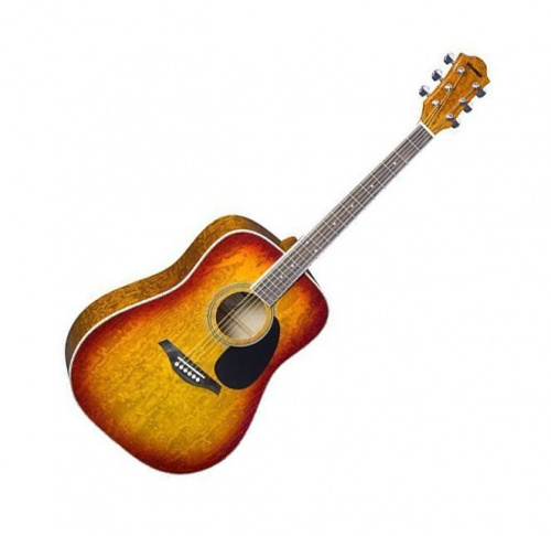 Акустична гітара Hohner SD-65CS - JCS.UA фото 2