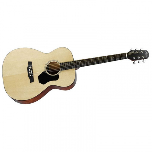 Акустическая гитара Walden Hawthorne HO220/B - JCS.UA фото 2
