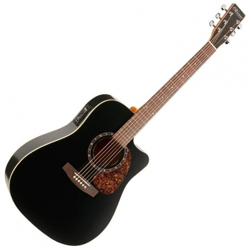Электроакустическая гитара NORMAN 028054 - Protege B18 CW Cedar Black Presys - JCS.UA фото 2