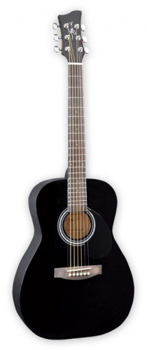 Акустическая гитара Jay Turser JJ43 BK - JCS.UA фото 2