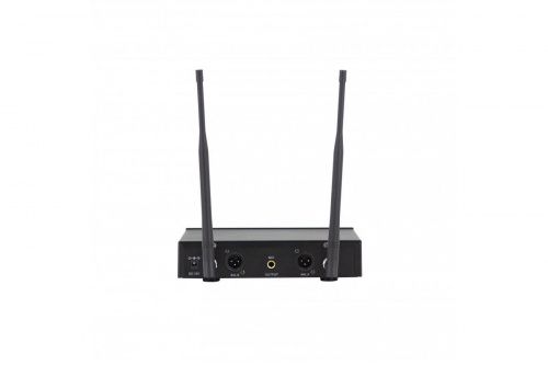 Радиосистема DV audio MGX-24H MKII два ручных микрофона - JCS.UA фото 2