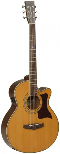 Электроакустическая гитара Tanglewood TW145 SC - JCS.UA