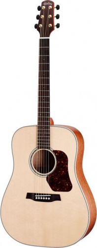 Акустическая гитара Walden D740 - JCS.UA