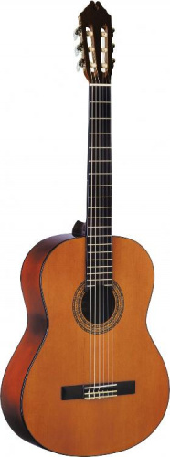 Классическая гитара Washburn C5 - JCS.UA фото 9