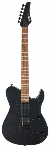 Електрогітара FUJIGEN JIL2ASHDE664R Iliad Dark Evolution Series (Open Pore Black) - JCS.UA