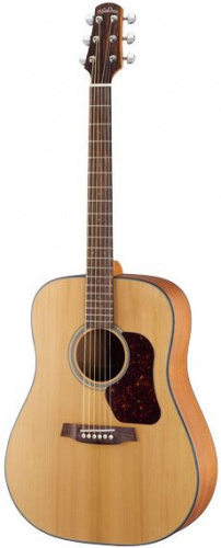 Акустична гітара Walden D570 - JCS.UA