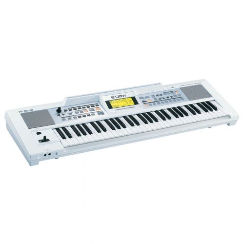 Рабочая станция Roland E-09W - JCS.UA