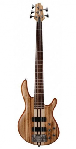 Бас-гитара Cort Artisan A5-CustomZ OPN - JCS.UA