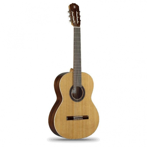 Классическая гитара Alhambra 1C BAG - JCS.UA фото 2