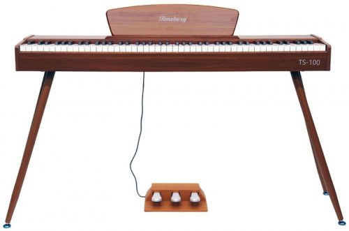 Цифровое пианино Toneberg TS-100 WD - JCS.UA