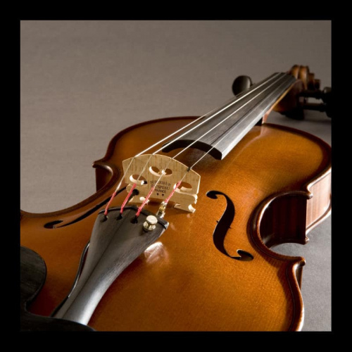Звукосниматель для скрипки Fishman PRO-V30-0VI Concert Series Violin Pickup - JCS.UA фото 2