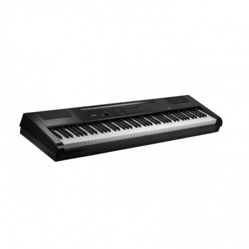 Цифровое пианино Artesia PA88H (Black) + педаль сустейн + стойка - JCS.UA фото 2