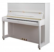 Акустическое фортепиано Petrof P125M1-0001 - JCS.UA