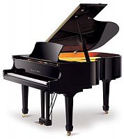 Акустичний рояль Ritmuller GP159R Ebony - JCS.UA