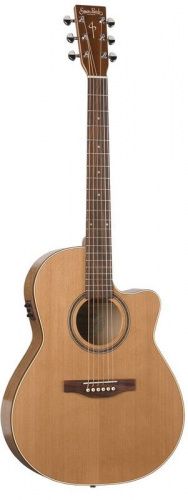 Електроакустична гітара S & P 033 744 - CW GT Folk Cedar EQ with Bag - JCS.UA