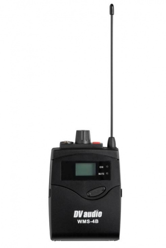 Радіосистема DV audio WMS-24B з гарнітурами - JCS.UA фото 4