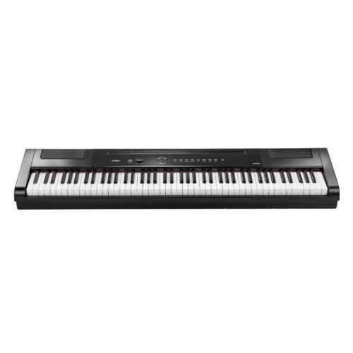 Цифровое пианино Artesia PA88H (Black) + педаль сустейн + стойка - JCS.UA