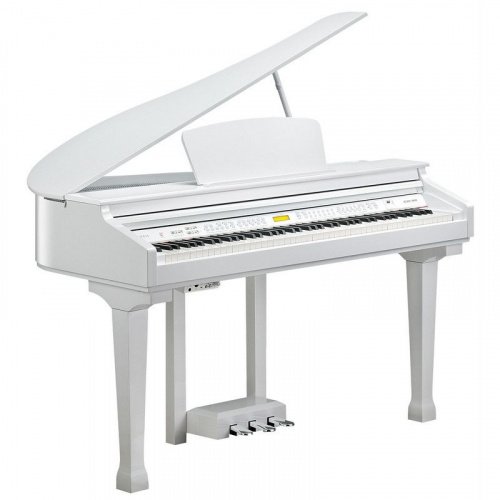 Цифровой рояль Kurzweil KAG-100 WHP - JCS.UA