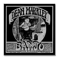 Струны для банджо DEAN MARKLEY 2306 BANJO MED 5 STRING - JCS.UA