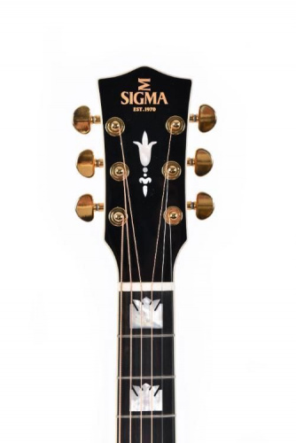 Электроакустическая гитара Sigma SGJA-SG200 Limited Series - JCS.UA фото 7