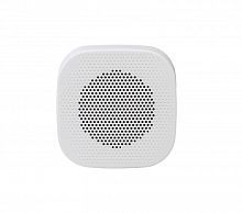 Настенная колонка SKY SOUND NS-7TW - JCS.UA