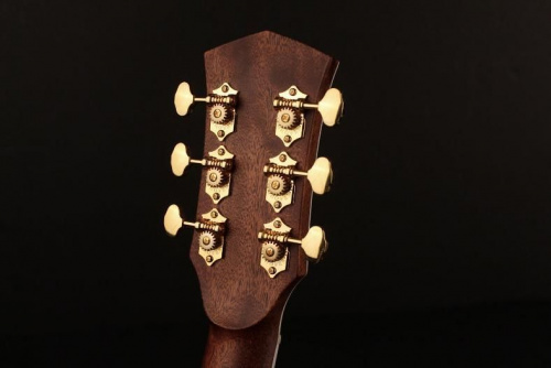 Електроакустична гітара CORT GOLD A8 (Natural) - JCS.UA фото 6