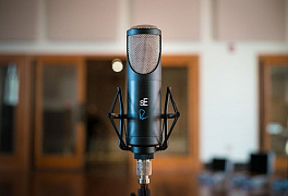 Студийный микрофон sE Electronics RNT уже в продаже!