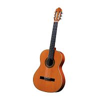 Класична гітара Antonio Sanchez S-1005 Spruce - JCS.UA
