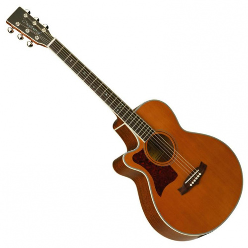 Электроакустическая гитара Tanglewood TW45 NS E LH - JCS.UA фото 2