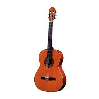 Классическая гитара Antonio Sanchez S-1005 Cedar - JCS.UA