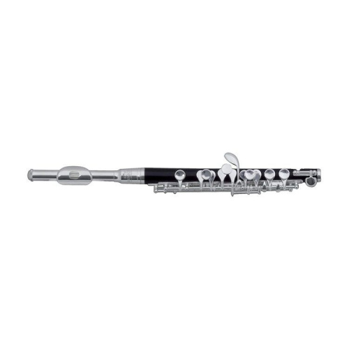 Флейта-пікколо Roy Benson PC-502 - JCS.UA