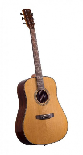 Акустическая гитара Prima DSAG219 - JCS.UA фото 2