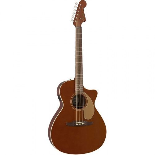 Електроакустична гітара FENDER NEWPORTER PLAYER RSC - JCS.UA фото 2