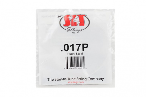 Струна для электрогитары SIT STRINGS 017 - JCS.UA