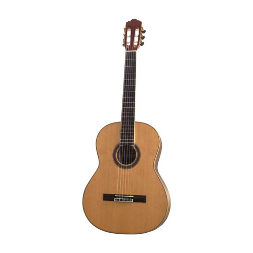 Классическая гитара Virginia СС-120 - JCS.UA