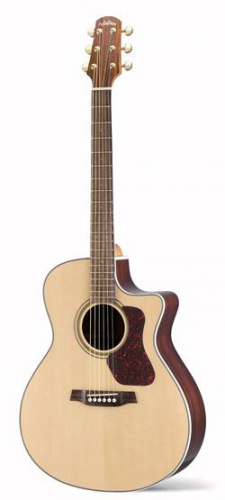 Электроакустическая гитара Walden CG600CE - JCS.UA