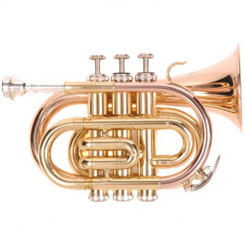 Труба ODYSSEY PREMIERE OCR-100P 'Bb',  карманная труба - JCS.UA
