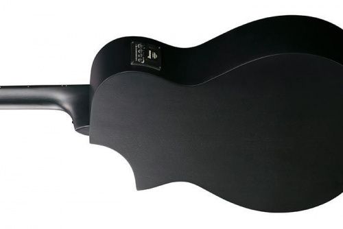 Электроакустическая гитара IBANEZ AEWC621 BOT - JCS.UA фото 4