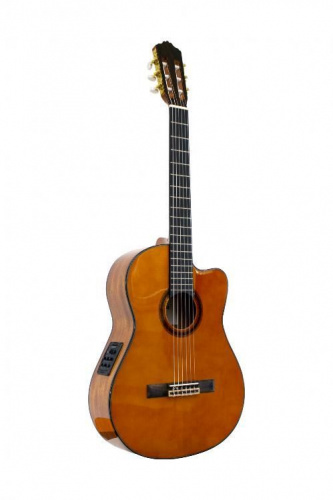 Классическая гитара Prima MCG603cQ - JCS.UA фото 2