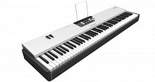 MIDI-клавиатура Studiologic Acuna 88 - JCS.UA