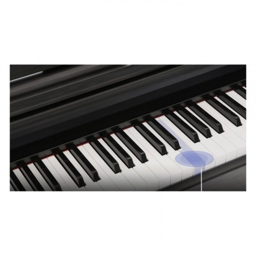 Цифровое пианино The ONE PLAY (Black) - JCS.UA фото 5