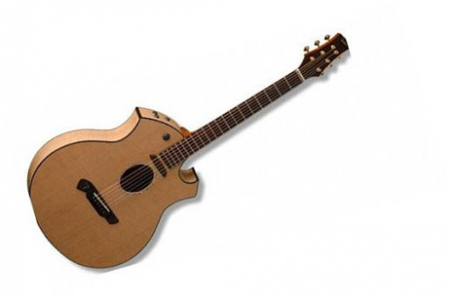 Электроакустическая гитара Parker P8 EN-BK - JCS.UA фото 4