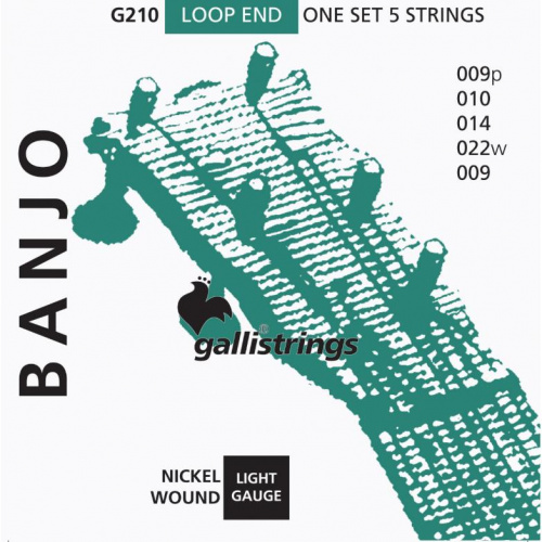 Струни для банджо Gallistrings G210 - JCS.UA