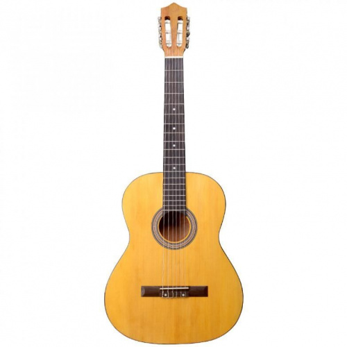 Классическая гитара Alfabeto Ashwood44 + bag - JCS.UA